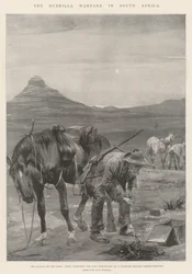 南アフリカのゲリラ戦